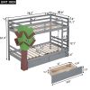 Twin-Over-Twin Bunk Bed with a Tree Decor and Two Storage Drawers